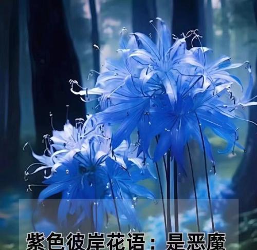 白色花中哪些寓意吉祥？