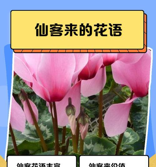 马铃薯，不仅仅是蔬菜！（探究马铃薯的身份，揭开其“粮食作物”面纱。）