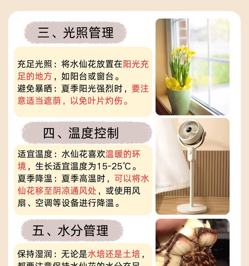 水仙花的养殖秘籍（水仙花如何培育？养殖技巧大揭秘！）