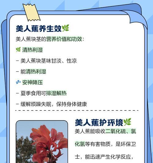 美人蕉叶子卷曲原因与处理方法（寻找根源疏通堵塞美丽回归）