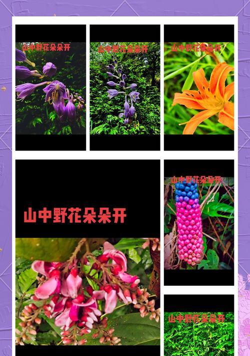 探秘玉簪花的神奇功效（草本植物玉簪花的作用、用途和美容妙方）