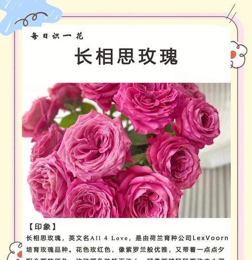蒲公英的开花次数（解析蒲公英一年中开花的规律）