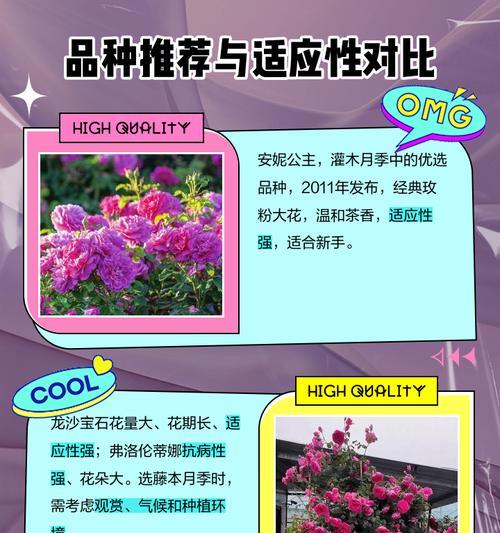 探寻粉扇的生长特点——是藤本还是灌木？（粉扇的形态特征、生长环境、繁殖方式等细节揭秘）