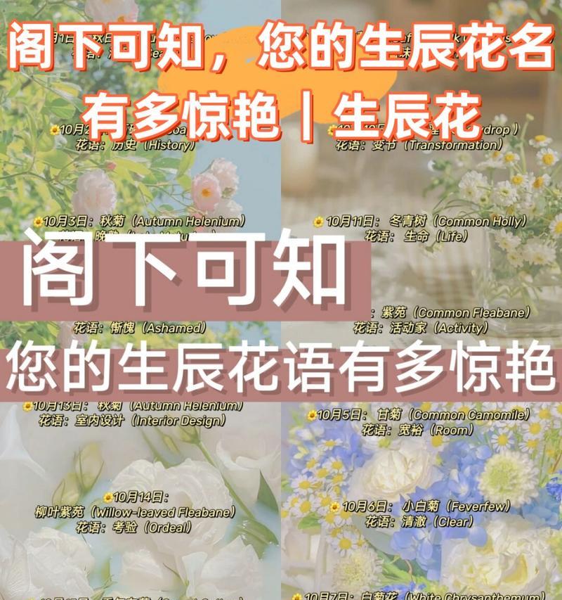 金枝玉叶换盆时间及注意事项（了解金枝玉叶的生长特点，做好换盆准备）