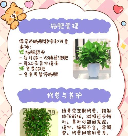 啤酒养绿萝的秘密——如何让绿萝更旺盛（这些小技巧让你成为绿萝达人！）