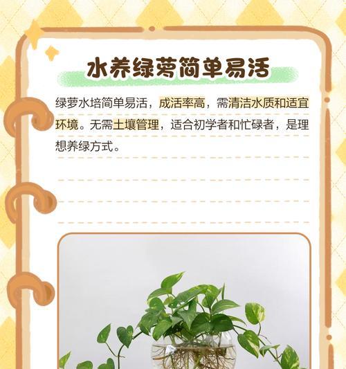 啤酒养绿萝的秘密——如何让绿萝更旺盛（这些小技巧让你成为绿萝达人！）