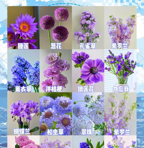 酸奶能否与芦荟搭配？——解析浇芦荟的正确方法（掌握正确方法，让酸奶与芦荟完美结合）