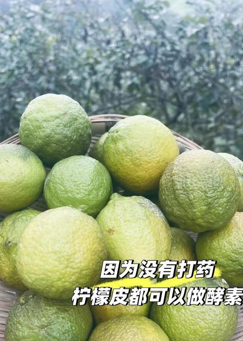 探寻柠檬的故乡（寻找柠檬的神秘身世）