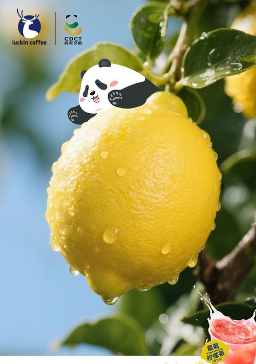 探寻柠檬的故乡（寻找柠檬的神秘身世）