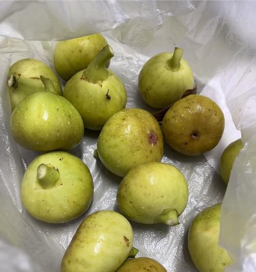 无花果的味道是什么？（一场舌尖上的盛宴）