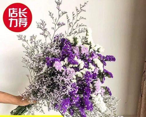 情人草放卧室是否安全？（了解情人草的毒性和适宜环境）