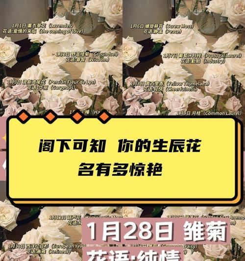 芹菜播种时间分析（合适的播种季节和关键考虑因素）