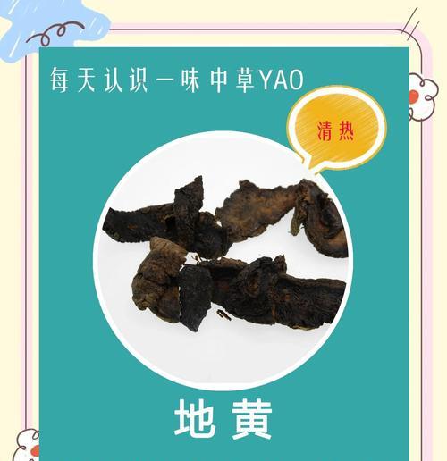 地黄种植全攻略（掌握这些技巧，让你的地黄高产丰收）