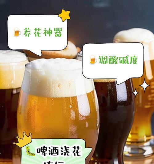 米兰花可浇啤酒？真相大揭秘！（探寻米兰花与啤酒之间的关系）
