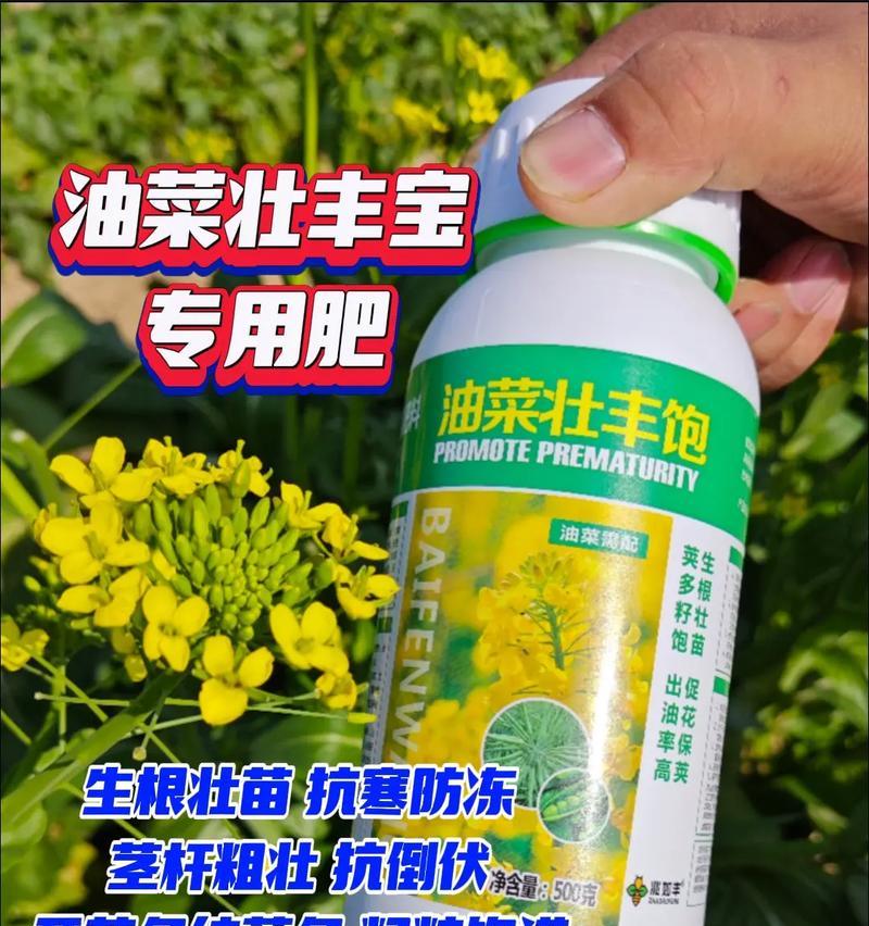 如何科学施肥，让油菜长势更旺？（以钾肥为关键，全面施用各种肥料）
