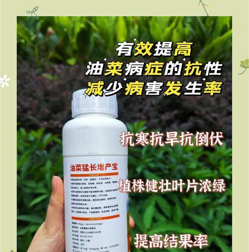 如何科学施肥，让油菜长势更旺？（以钾肥为关键，全面施用各种肥料）
