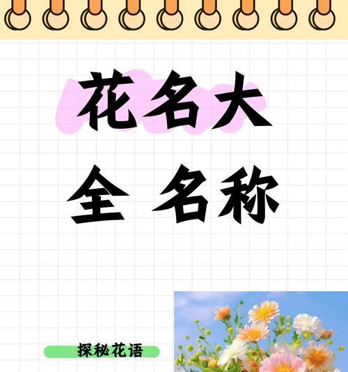 黄金小神童兰花的养护与管理（打造美丽兰花花园的必备技巧）