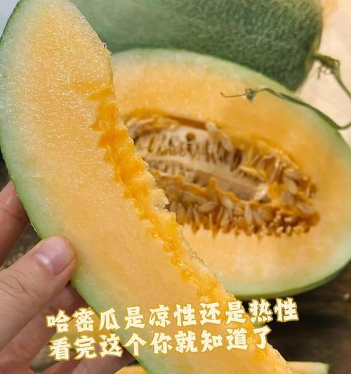 哈密瓜生长环境条件及特点（探究哈密瓜生长的关键因素）