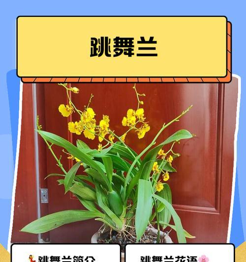 芒果种植的地理适应性分析（探寻芒果在不同气候条件下的适应性，为芒果种植提供参考。）