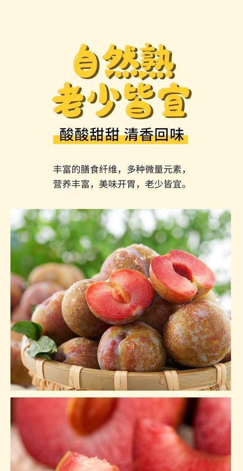 探秘三华李的故乡（发现中国南方的瑰宝）