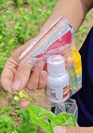 丝瓜钻心虫的防治方法（如何有效防治丝瓜钻心虫的侵害？）
