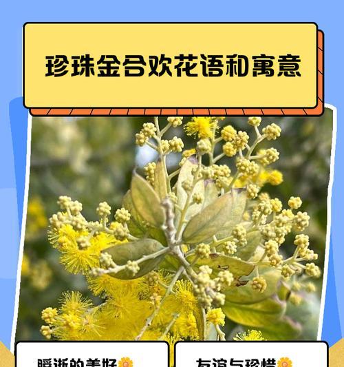 腊梅是被子植物吗？（探究腊梅的分类与特点）