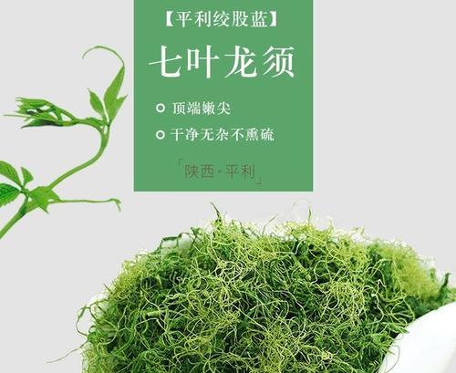 寻找最优质的绞股蓝产地（从产地选择到品质检测，告诉你如何挑选优质绞股蓝）