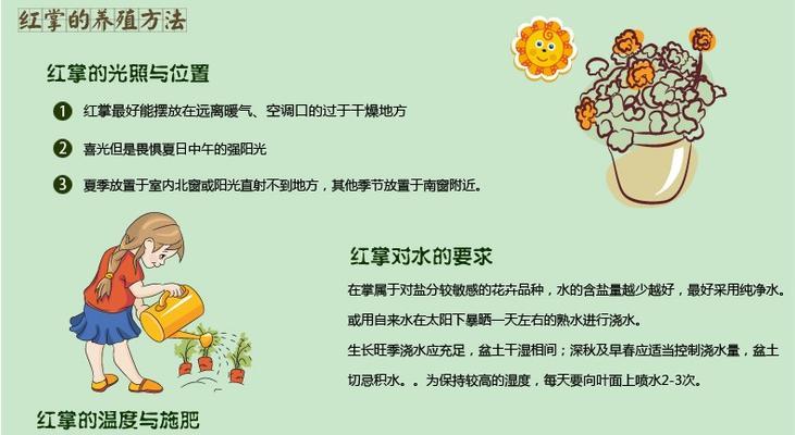 粉掌养殖全攻略（细节决定养殖成败，关注这15点让你的粉掌更加健康）