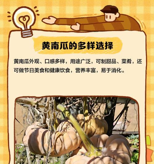 南瓜黄叶病的预防和治疗（原因、处理方法及关键要点）