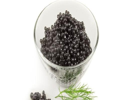 奇亚籽种子的种植与养护方法（健康无添加，自己在家也能轻松种植）