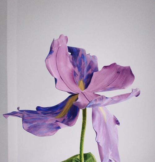 大高花盆的花卉养护指南（选择适合的花卉品种打造绿色生活）