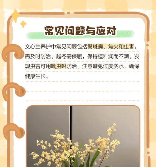 对对红开花后的处理方法（让对对红常青常艳，迎接新一轮开花）