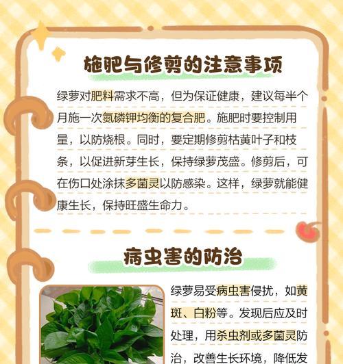 绿萝夏季养护全攻略！（让你的绿萝更旺盛生长的小技巧）