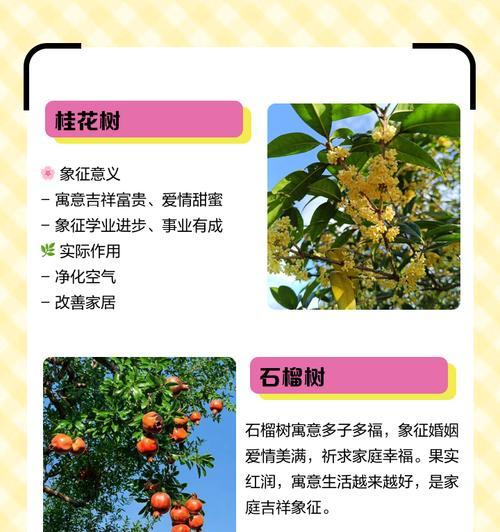 阳光下的吉祥果——探究喜阳光的植物（喜阳光的植物特征、栽种技巧、成长环境及注意事项）
