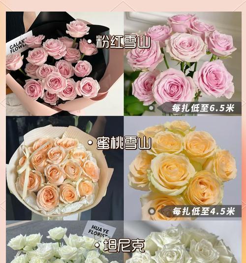 17朵玫瑰的花语（玫瑰花语中的浪漫与爱情）