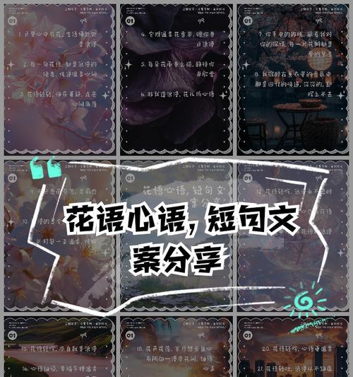 17朵玫瑰的花语（玫瑰花语中的浪漫与爱情）