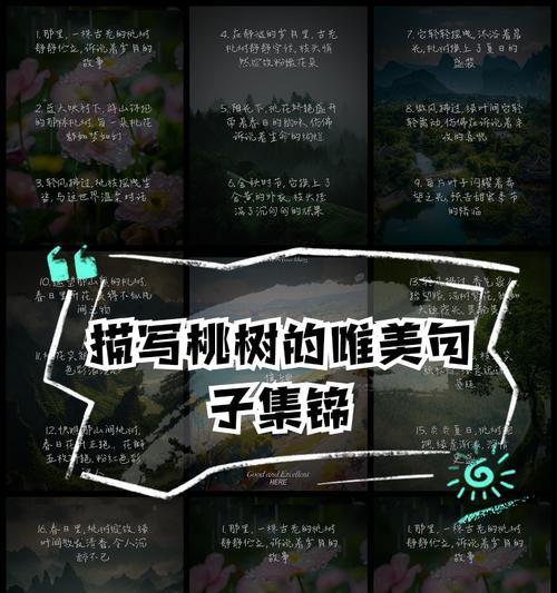 探寻桃树之美（桃树的样子和特点）