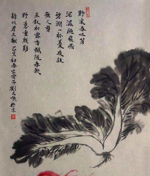 大白菜的象征意义（从生命力、繁荣和财富角度探究大白菜的象征意义）