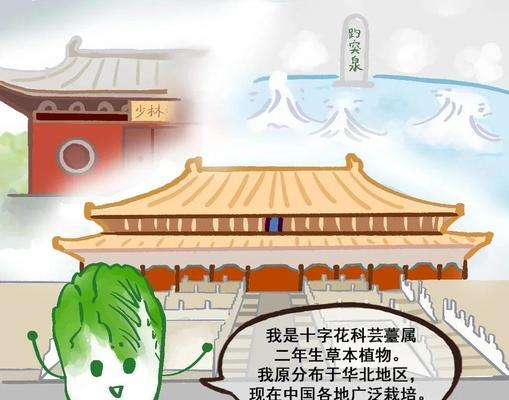 大白菜的象征意义（从生命力、繁荣和财富角度探究大白菜的象征意义）