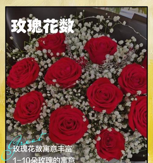 玫瑰花的象征与寓意（从爱情到生命，玫瑰花的多重意义）