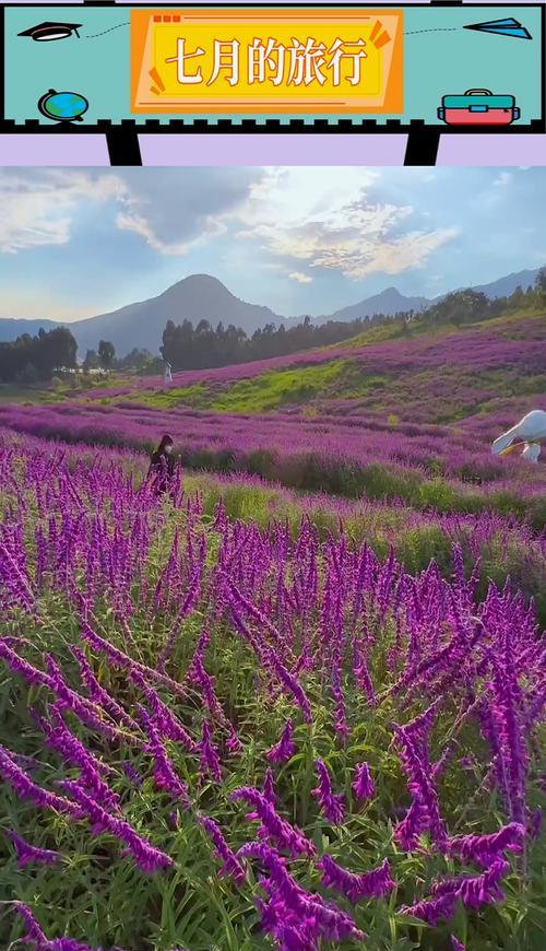 单纯善良——探寻花语之美（以柔克刚，以善化恶——纯洁之花的花语）