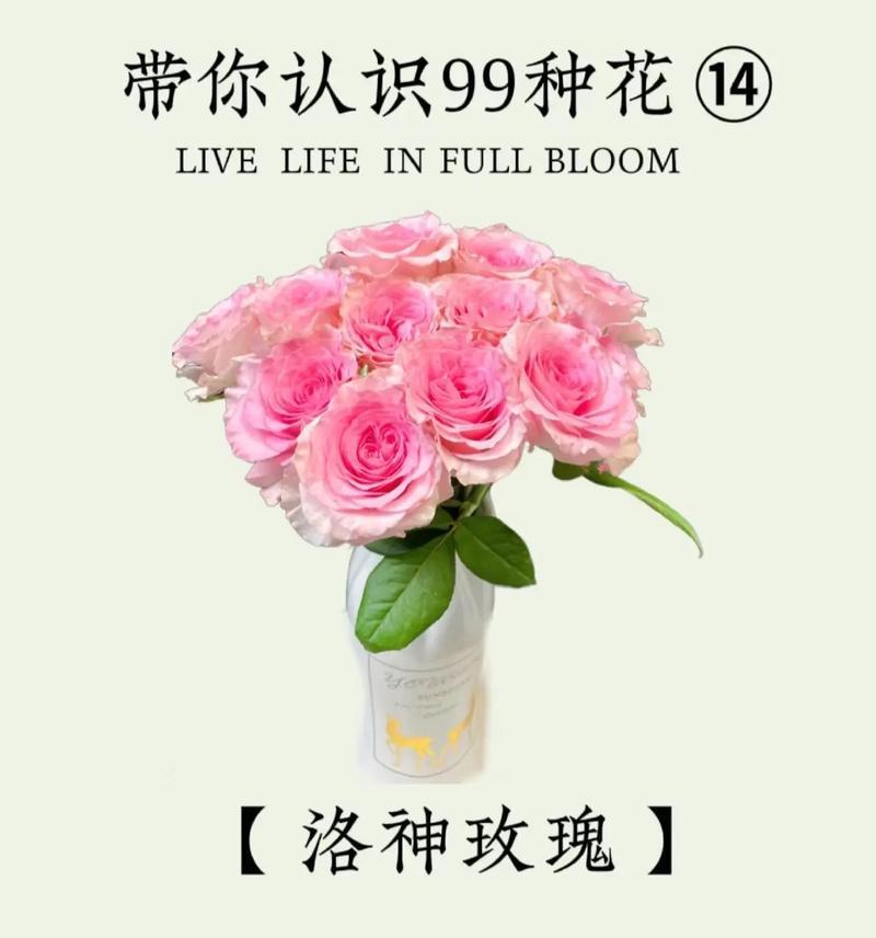 单纯善良——探寻花语之美（以柔克刚，以善化恶——纯洁之花的花语）