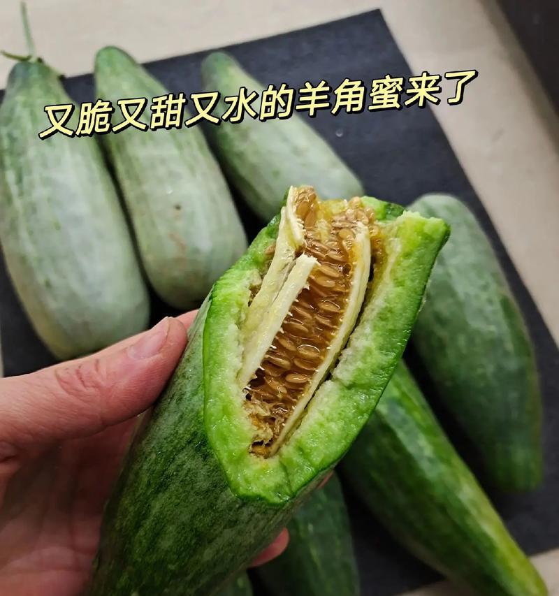 探寻羊角蜜的最佳产地（全球羊角蜜盛产区分析，让你品尝到最好的羊角蜜！）