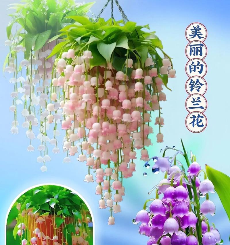 青竹花的花语——放松自我（一抹清新的绿，带你穿越浮躁的都市生活）
