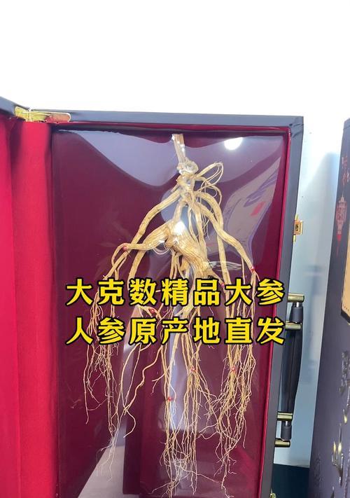 揭秘人参的原产地、主要产地以及当今盛产地（揭秘人参的原产地、主要产地以及当今盛产地）