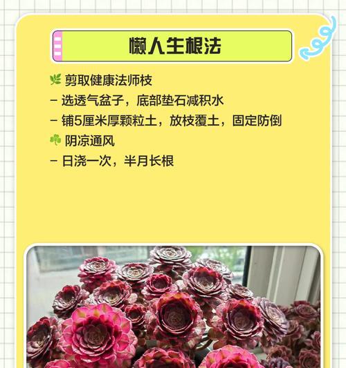 法师叶插多久发芽？（探究法师叶插如何让它快速发芽）