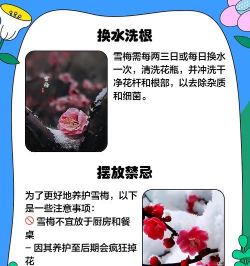 冰梅的养殖方法与注意事项（打造自己的冰梅花园，让生活充满芬芳馥郁）