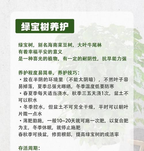 绿宝真的可以净化空气吗？——探究绿宝吸甲醛的真相（揭秘绿宝的净化机理和甲醛吸附能力，教你正确使用绿宝）