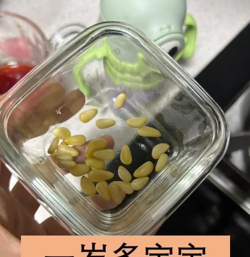 如何快速发芽松子（15个小技巧让你的松子快速发芽）