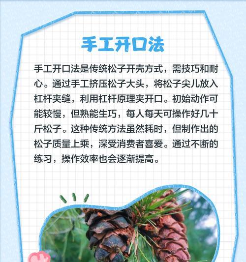 如何快速发芽松子（15个小技巧让你的松子快速发芽）
